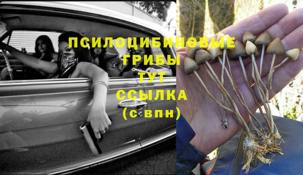прущая мука Аркадак