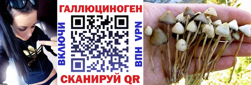Галлюциногенные грибы Cubensis Купить закладки Анива